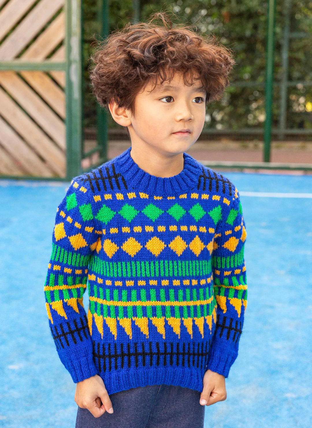 Bergère de France Canada - Brian jacquard sweater