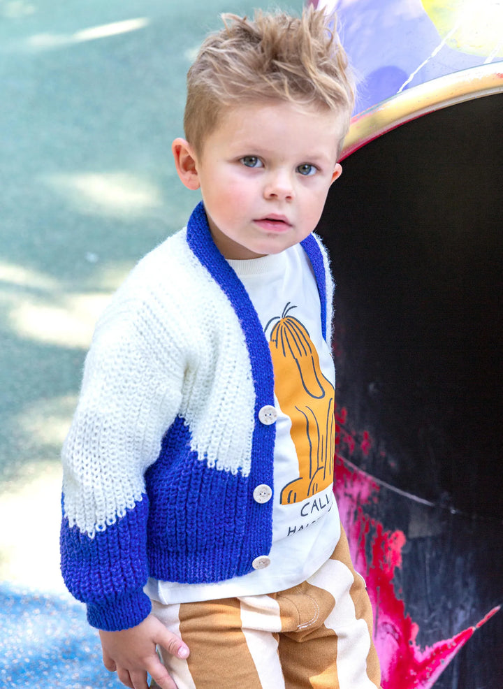 Bergère de France Canada - Barthelemy two - tone vest