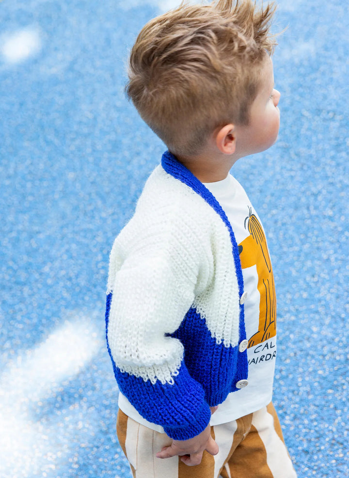 Bergère de France Canada - Barthelemy two - tone vest