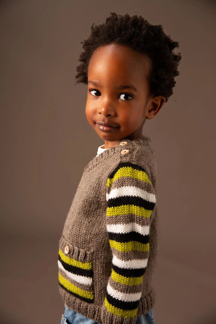 Bergère de France Canada - Ilyas striped sleeve sweater