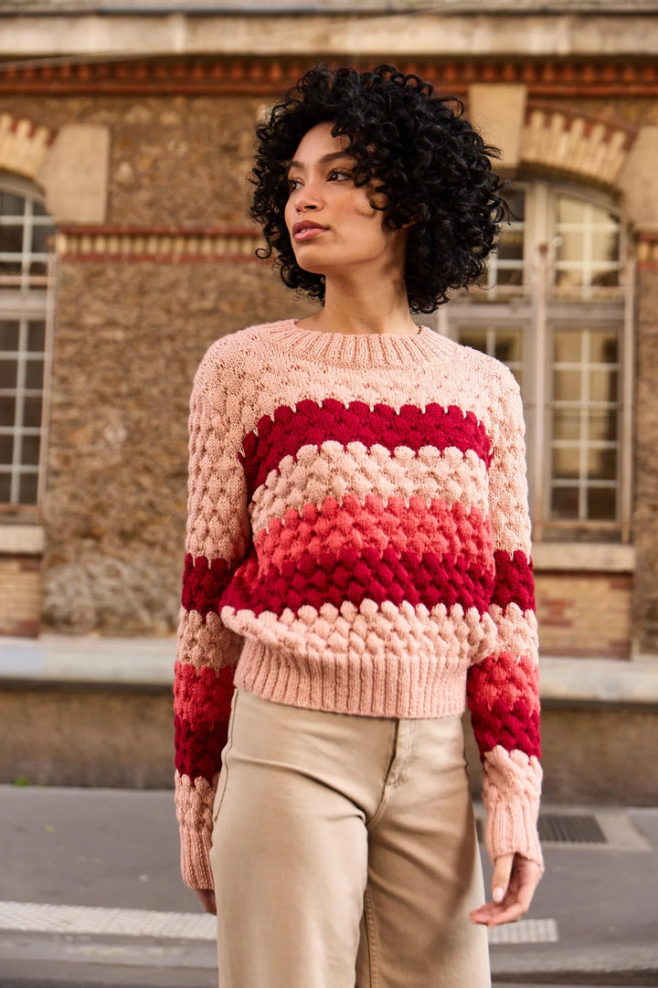 Bergère de France Canada - Iris fancy tricolor sweater