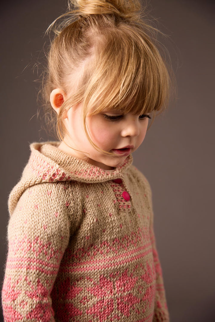 Pull jacquard à capuche Isaline