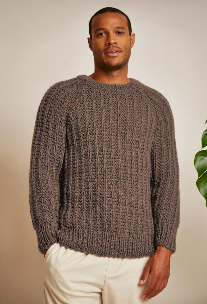 Bergère de France Canada - Alan fancy ribbed raglan sweater