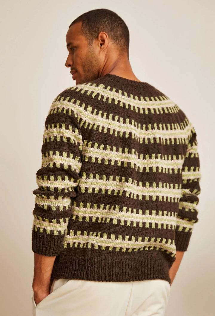 Bergère de France Canada - Benjamin jacquard yoke sweater