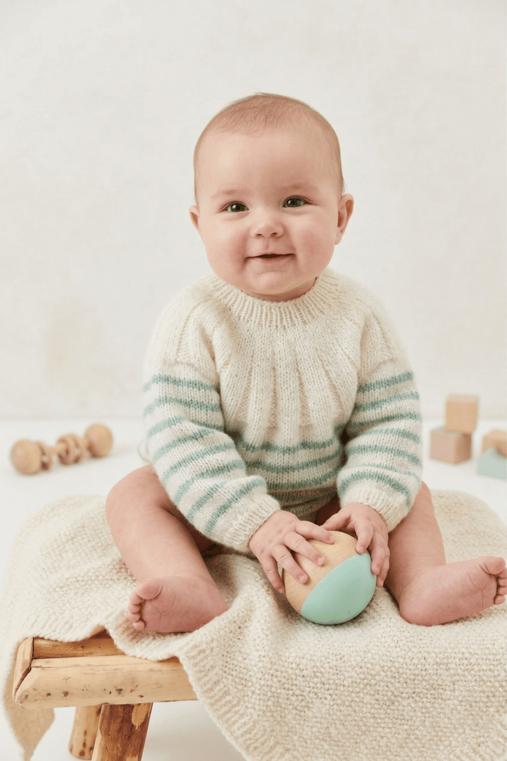Bergère de France Canada - Bastien Striped Yoke Sweater